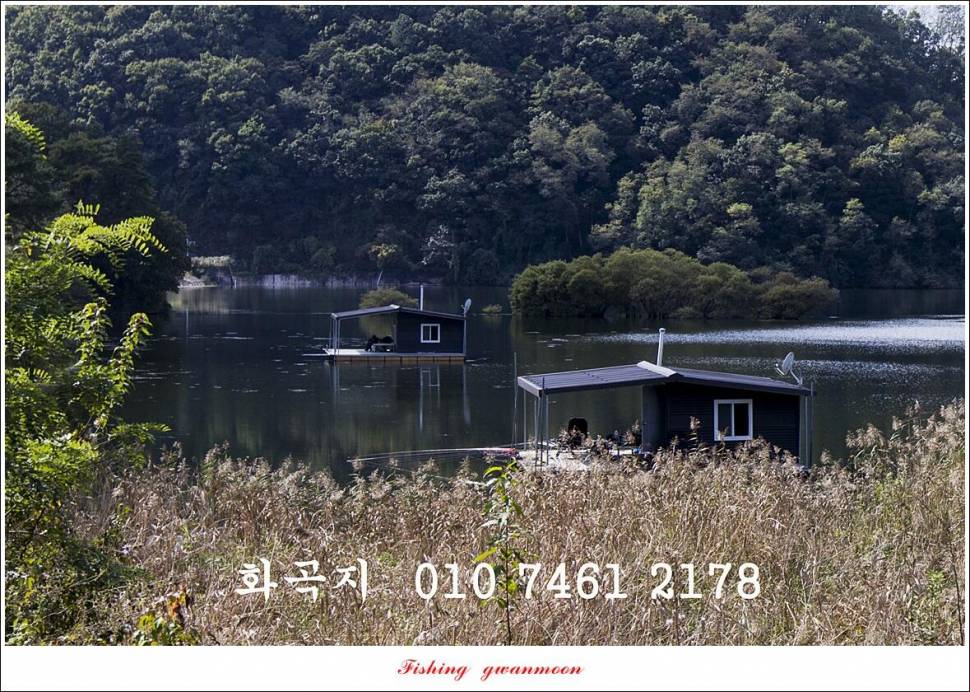 충주호 현황 및 화곡지 4 짜 조황 (조황조행기 - 특파원조황)