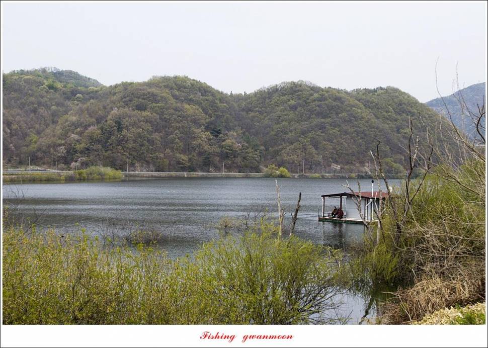 용원지 5 짜 인증 취재 (조황조행기 - 특파원조황)