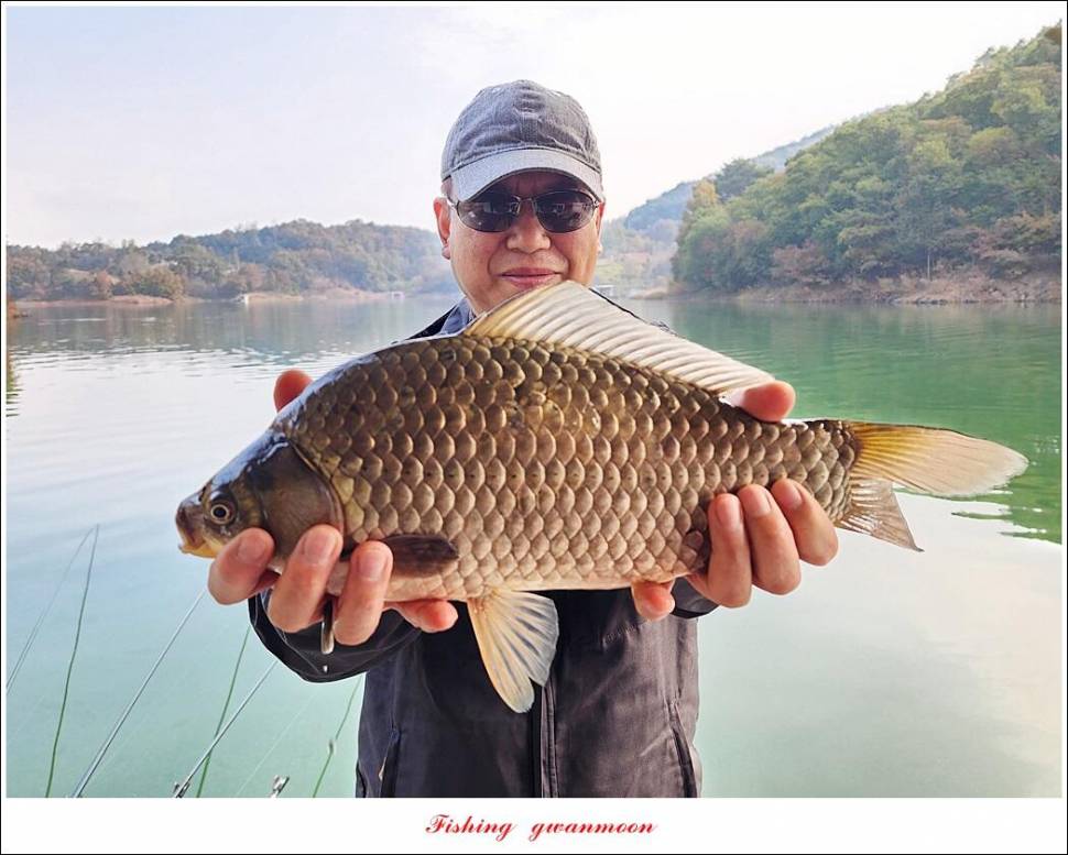 돌감 4 짜솔 39 cm38 cm마릿수 월척 조황 (조황조행기 - 특파원조황)