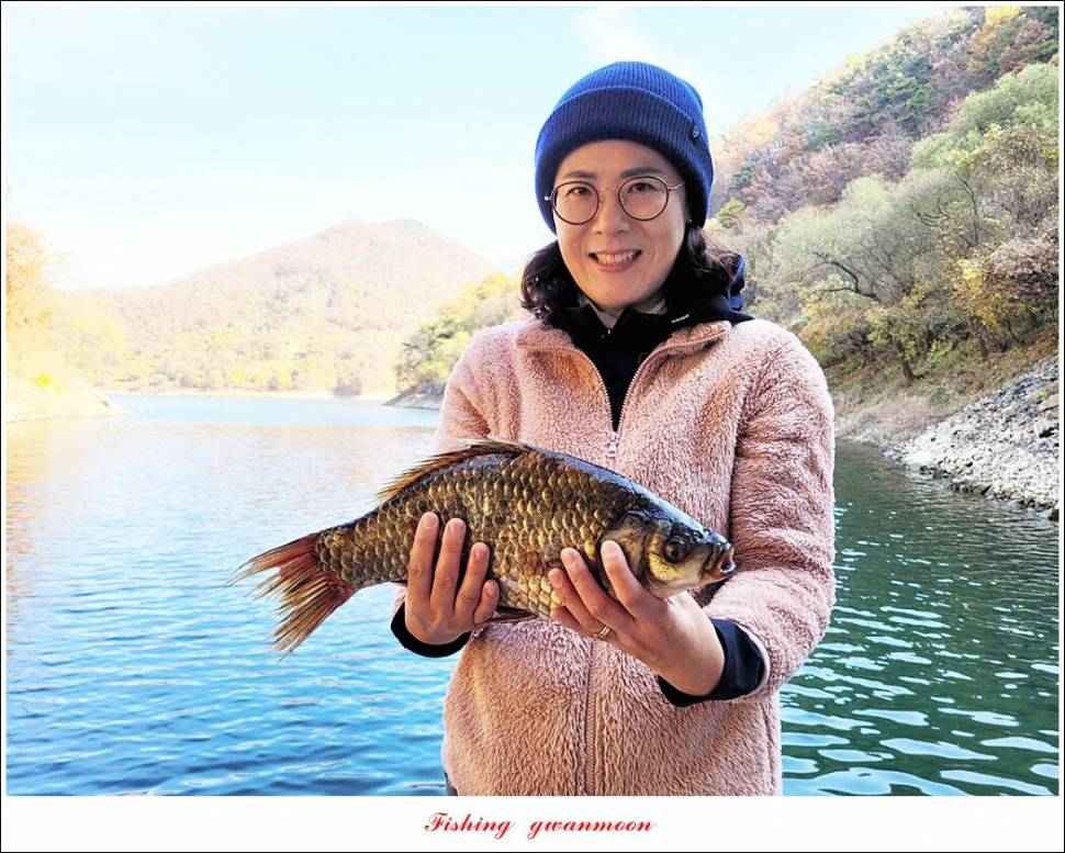 목벌 42 cm신리 41 cm408 cm실리곡 39 cm38 cm대물 조황 (조황조행기 - 특파원조황)