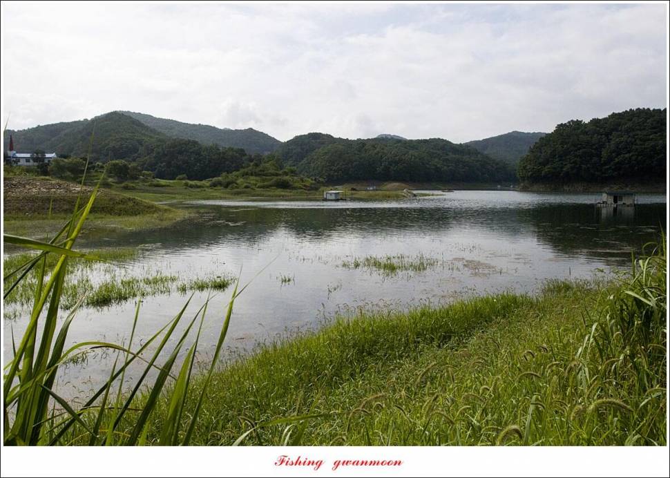한버들 4 짜 2 수신리 4 짜명서 4 짜 및 충주호 노지 현황 (조황조행기 - 특파원조황)