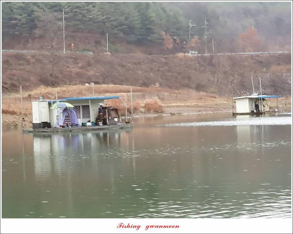 실리곡 4 짜신리 4 짜노지 4 짜 조황 (조황조행기 - 특파원조황)