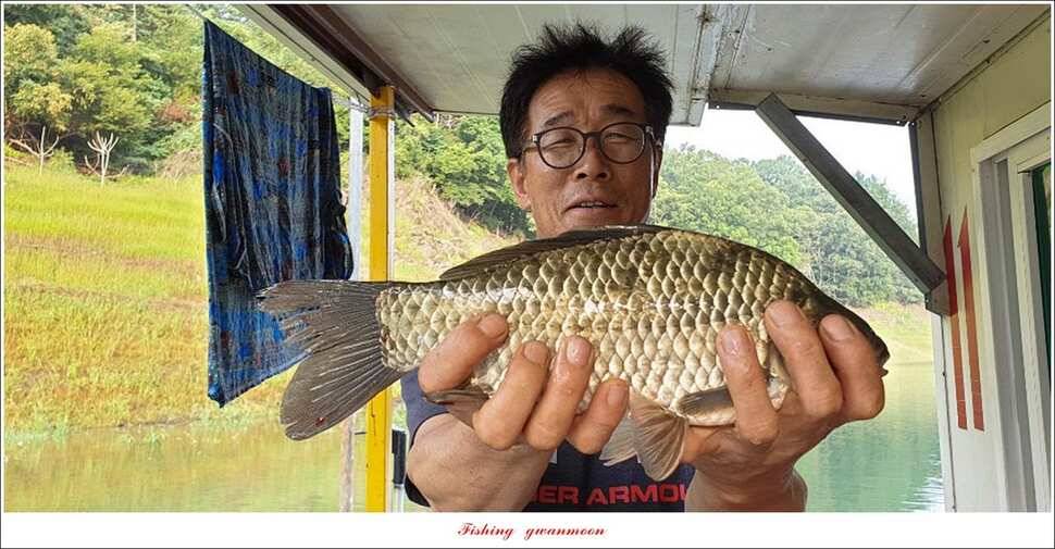 신매 44 cm 대물돌감 4 짜늘푸른제일 월척 조황 (조황조행기 - 특파원조황)