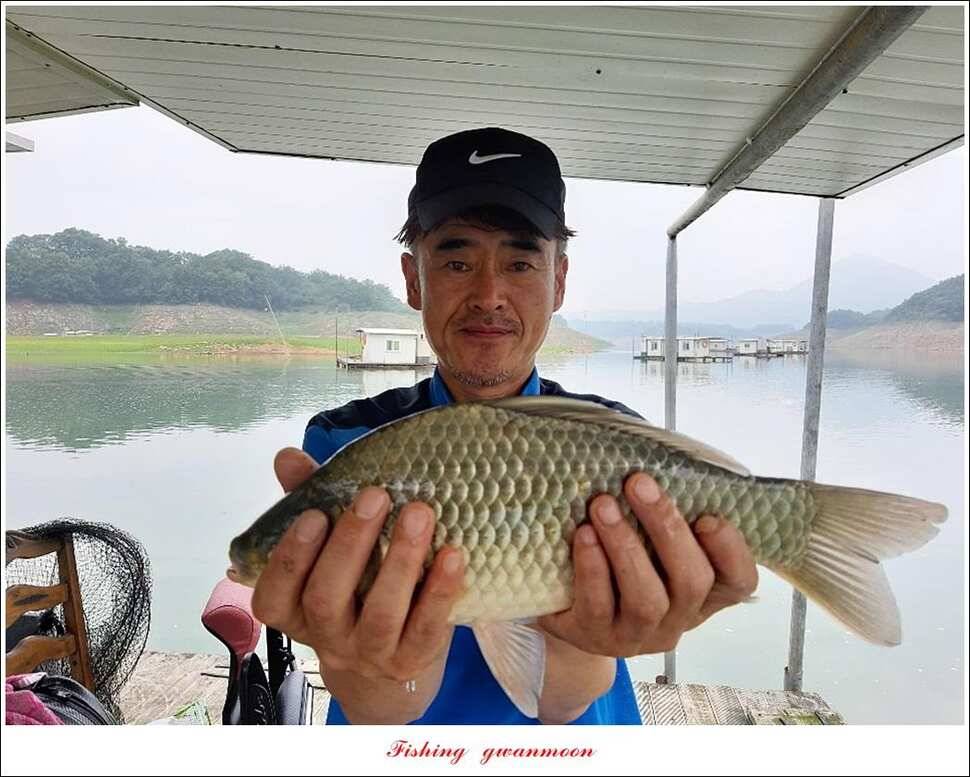 돌감신매 허리급 월척 조황 (조황조행기 - 특파원조황)
