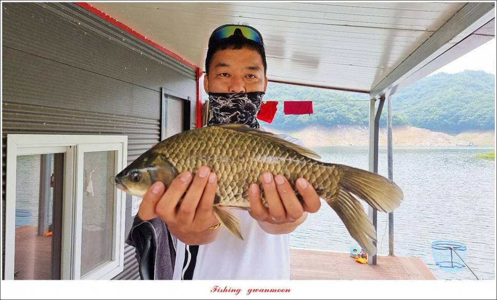 명서 노지 4 짜 마릿수돌감 4 짜사오리 4 짜솔 4 짜 대물 조황 (조황조행기 - 특파원조황)