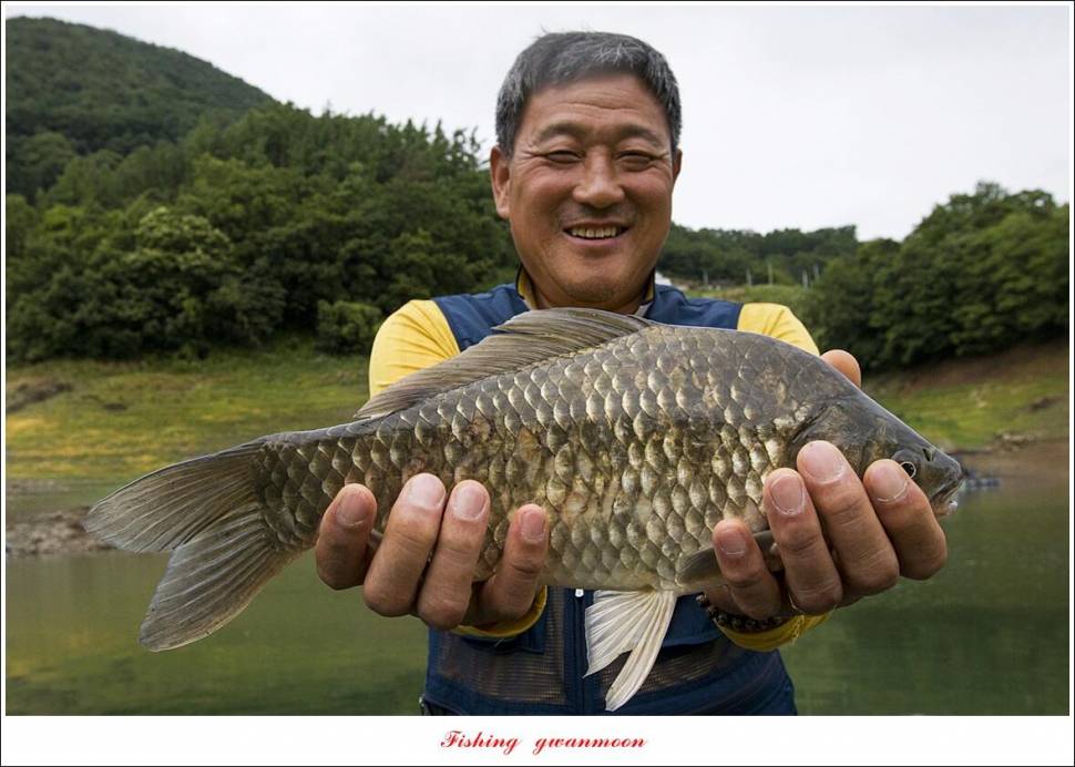 목벌 42 cm42 cm39 cm38 cm 대물 조황 (조황조행기 - 특파원조황)