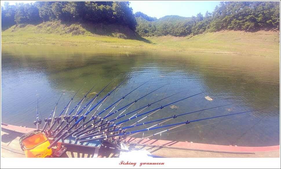 신매 낚시터 월척 조황 (조황조행기 - 특파원조황)