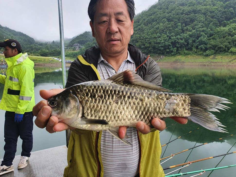 목벌 낚시터 42cm 대물붕어와 허리급붕어 조황 (조황조행기 - 특파원조황)