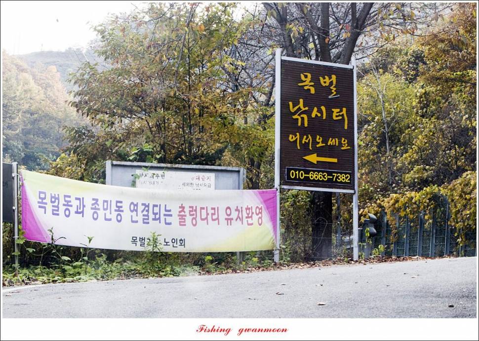 목벌 42 cm신리 41 cm408 cm실리곡 39 cm38 cm대물 조황 (조황조행기 - 특파원조황)