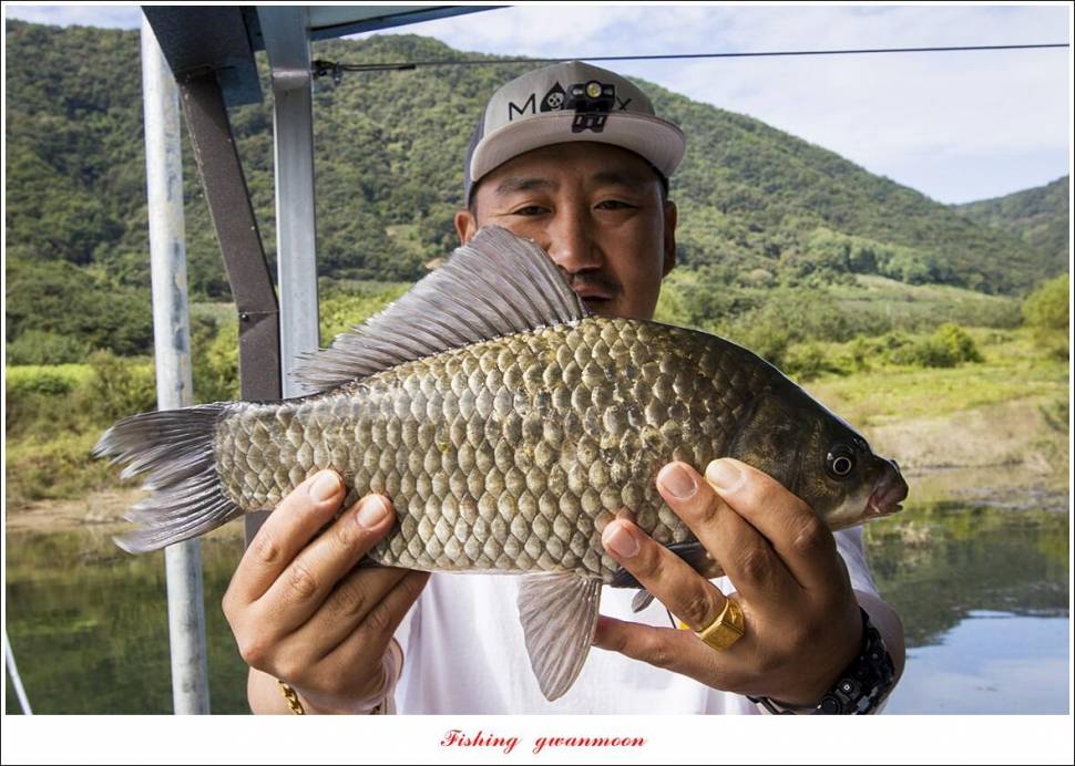 솔 낚시터 41 cm 종점 허리급 월척 조황 (조황조행기 - 특파원조황)