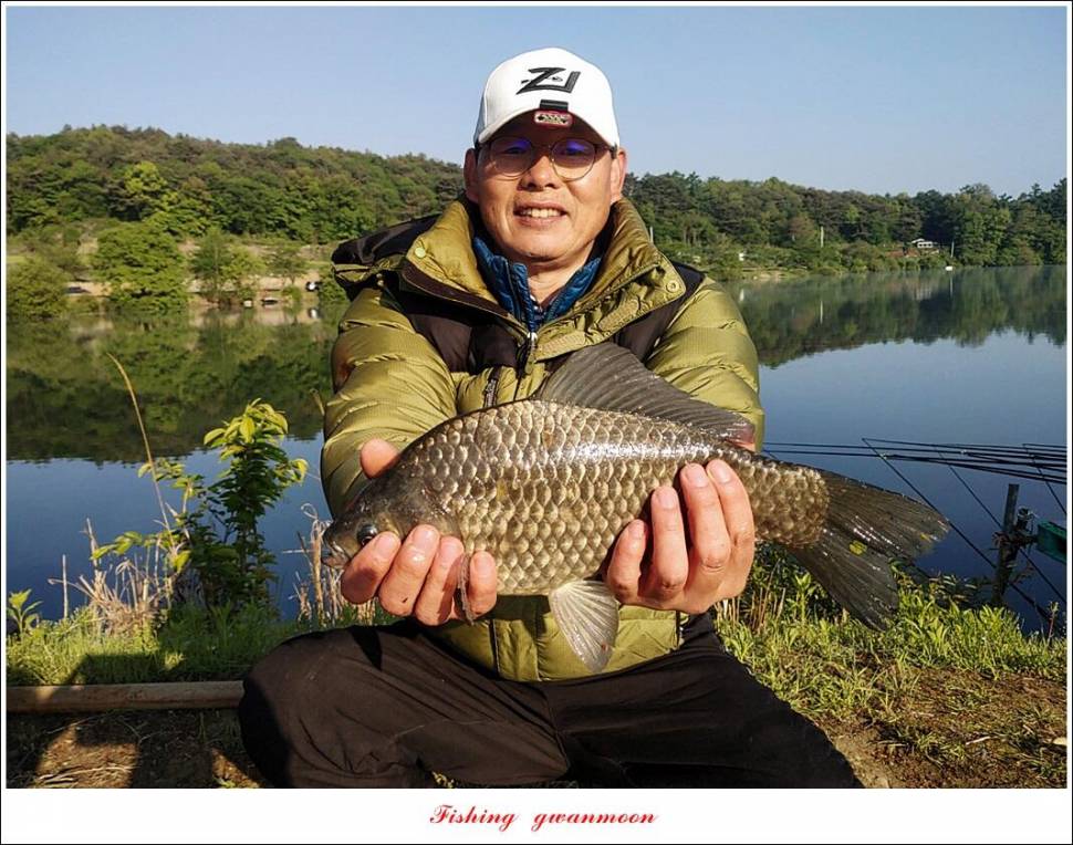 추평지 4 짜화곡지 4 짜칠성지 4 짜목벌 마릿수 월척 (조황조행기 - 특파원조황)