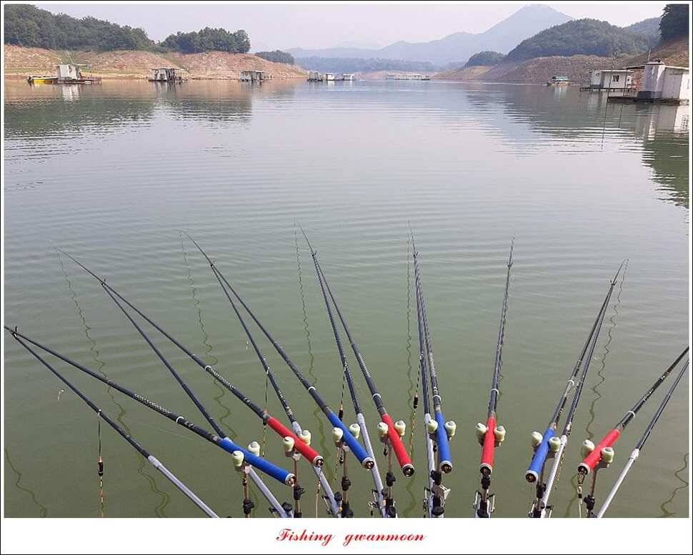 병호 월척장어돌감 38 cm385 cm솔 40 cm (조황조행기 - 특파원조황)