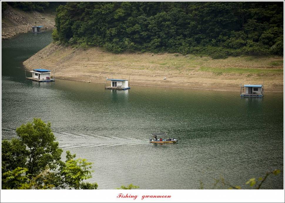 목벌 4 짜 마릿수 조황 (조황조행기 - 특파원조황)