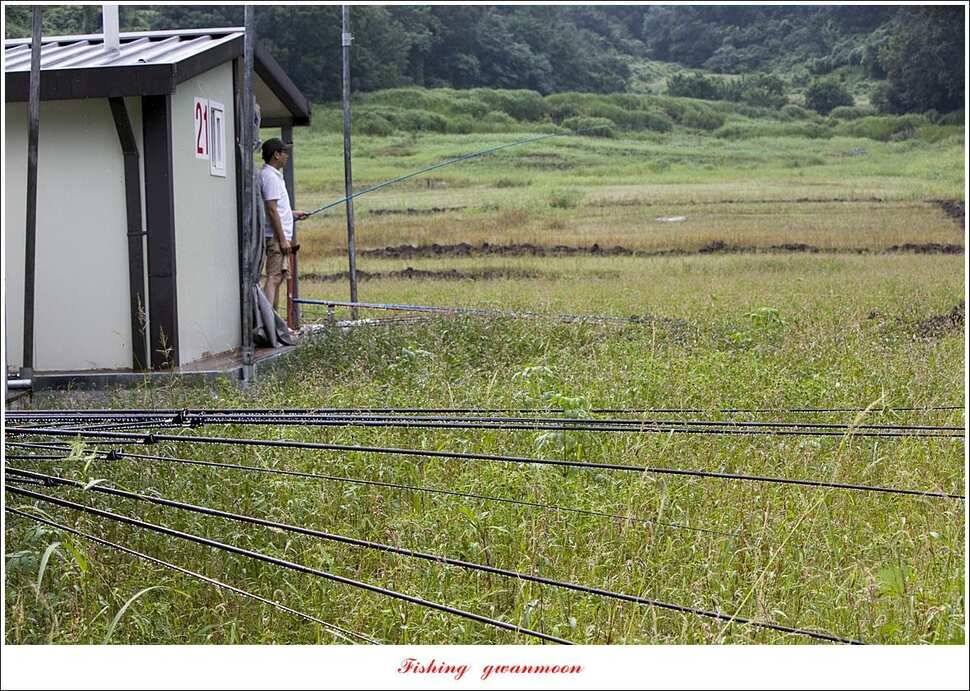 제일 맨바닥 낚시신매 38 cm38 cm36 cm칠성지 조황 (조황조행기 - 특파원조황)