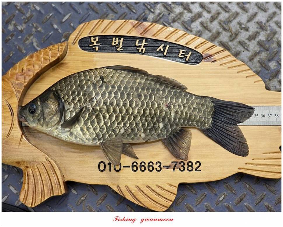 목벌 4 짜 및 남한강 4 짜 조황 (조황조행기 - 특파원조황)