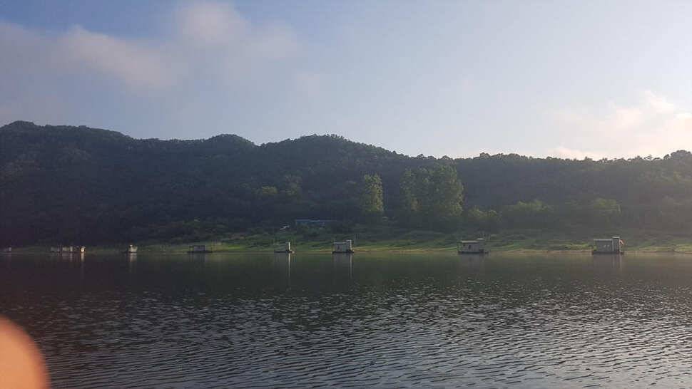 하천 4짜에 마릿수도 대박목벌도 4짜명서에도 꾸준한 조황 (조황조행기 - 특파원조황)