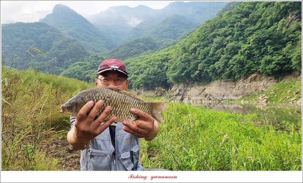 명서 노지 4 짜 마릿수돌감 4 짜사오리 4 짜솔 4 짜 대물 조황 (조황조행기 - 특파원조황)