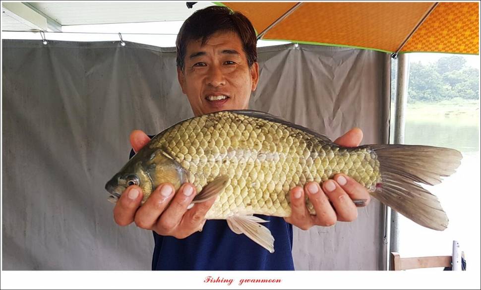 한버들 4 짜 2 수신리 4 짜명서 4 짜 및 충주호 노지 현황 (조황조행기 - 특파원조황)