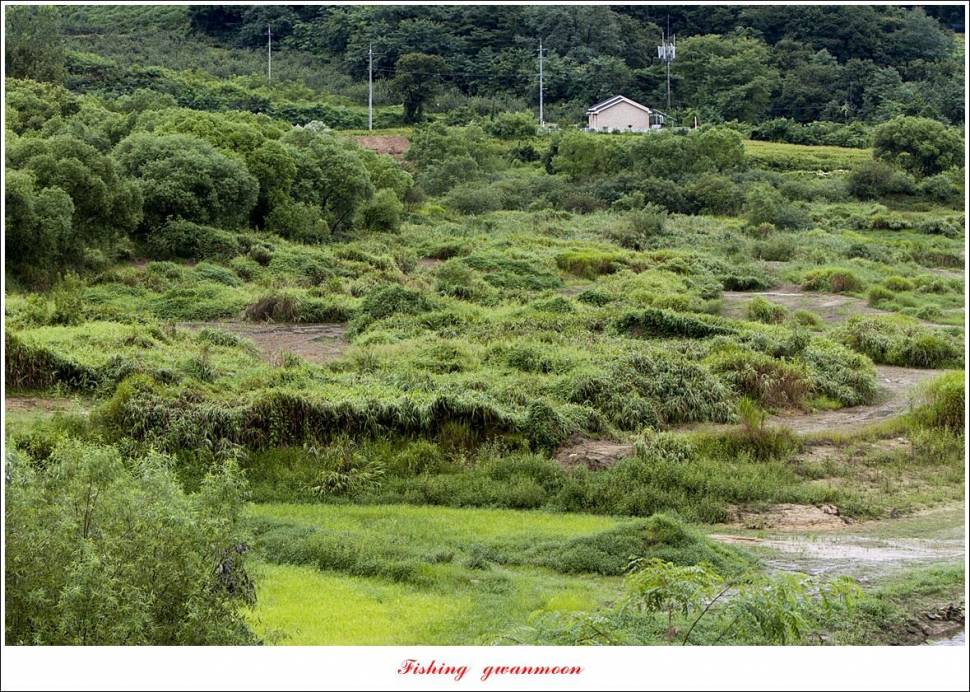 충주호 오름수위화곡지 조황 (조황조행기 - 특파원조황)