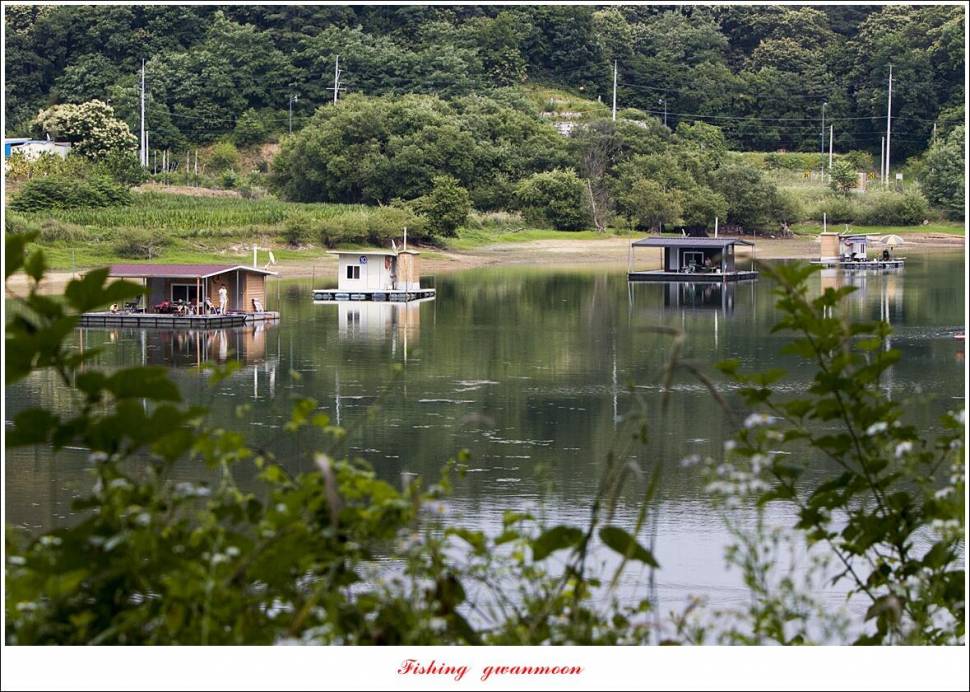 한버들 4 짜목벌 4 짜화곡지 4 짜달천강 4 짜 (조황조행기 - 특파원조황)