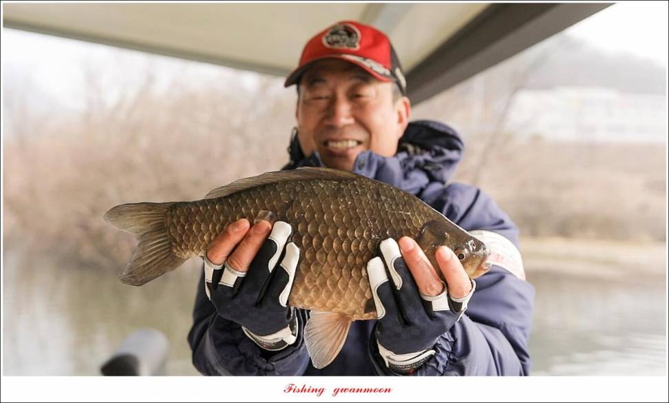 화곡지 4 짜 및 월척 조황 (조황조행기 - 특파원조황)