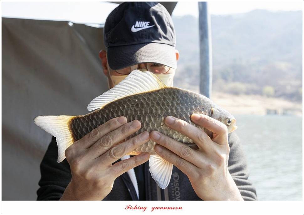 솔 최대어 이벤트 시상 및 화곡지 조황 (조황조행기 - 특파원조황)
