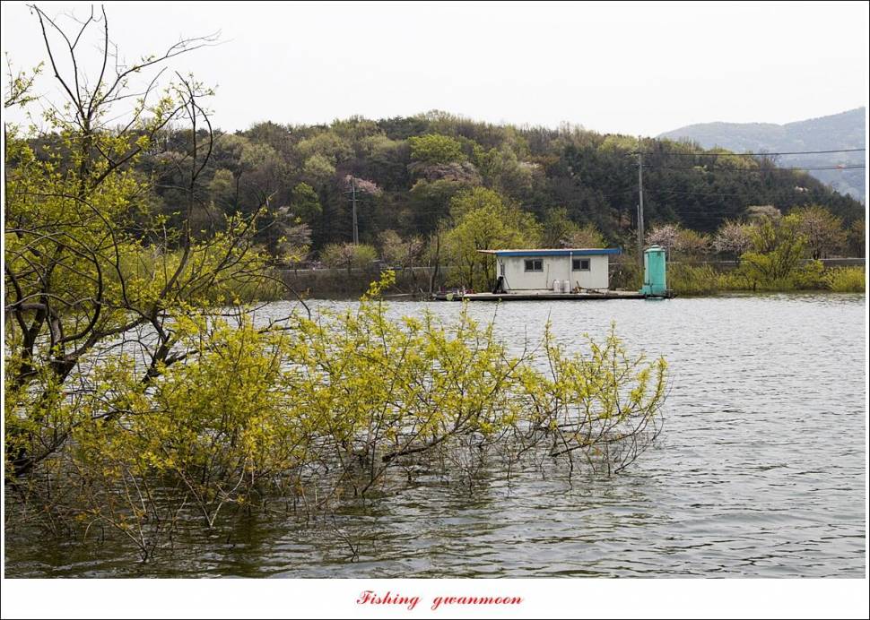 용원지 5 짜 인증 취재 (조황조행기 - 특파원조황)
