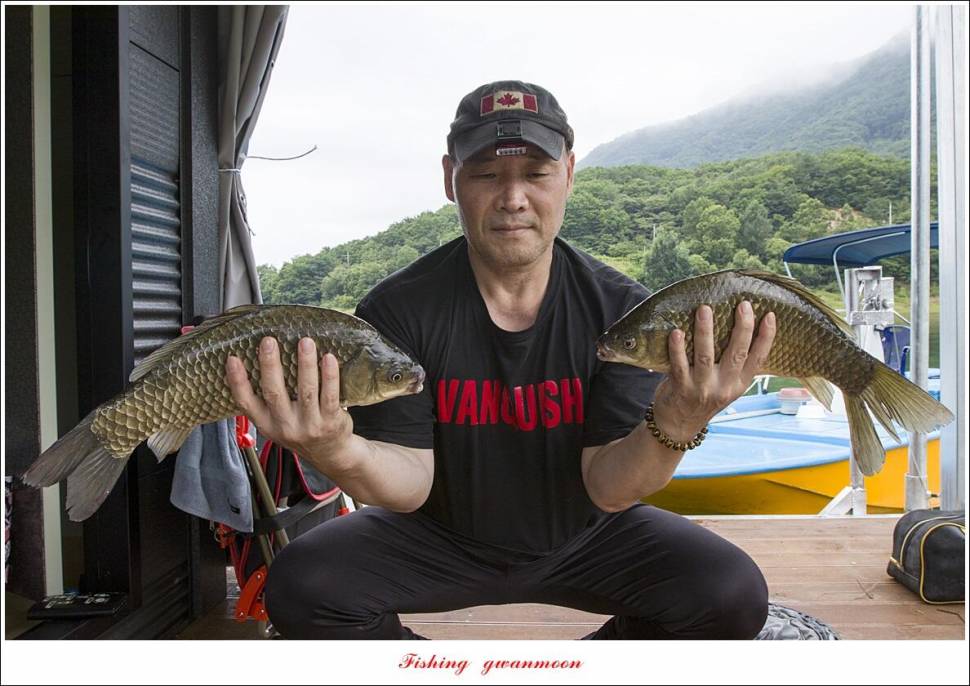 제일솔종점 4 짜 대물 및 화곡지 호조황 (조황조행기 - 특파원조황)