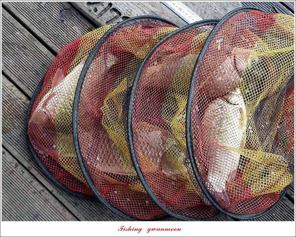 신매 44 cm 대물돌감 4 짜늘푸른제일 월척 조황 (조황조행기 - 특파원조황)