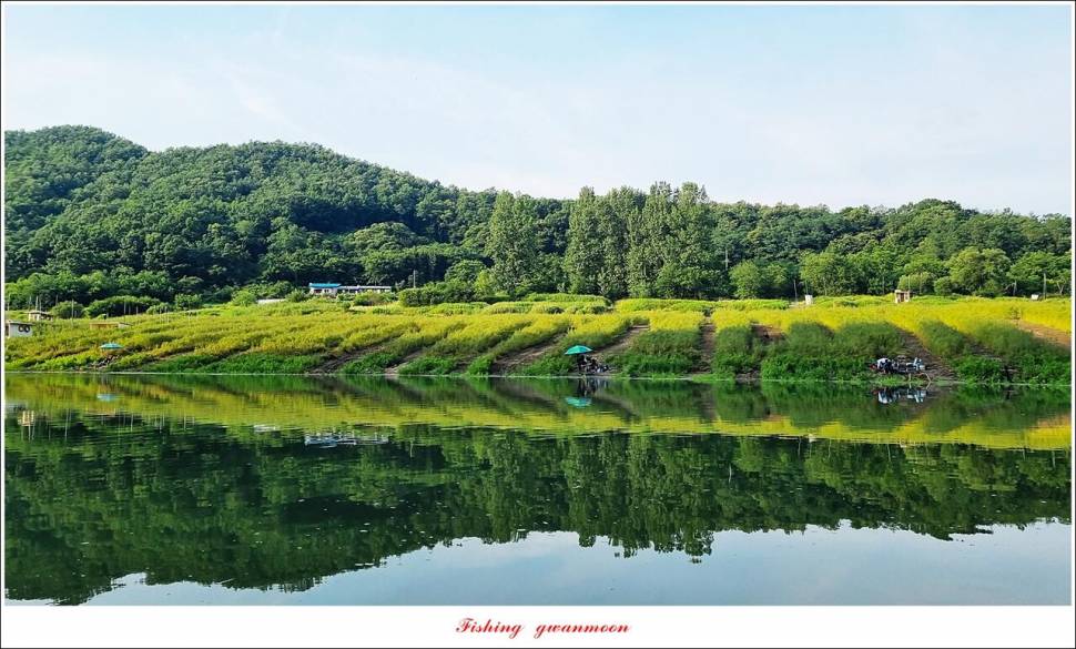 명서 노지 4 짜 마릿수돌감 4 짜사오리 4 짜솔 4 짜 대물 조황 (조황조행기 - 특파원조황)