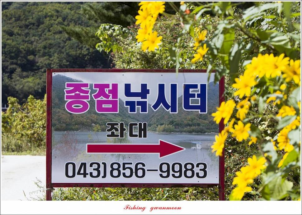솔 낚시터 41 cm 종점 허리급 월척 조황 (조황조행기 - 특파원조황)