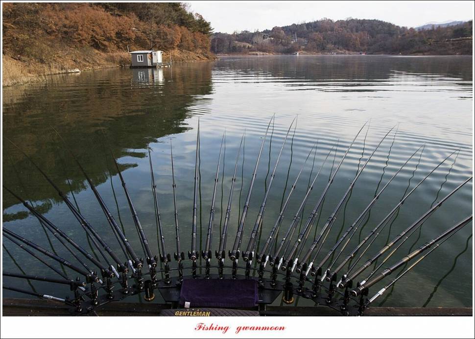 돌감 4 짜달천강대제지 4 짜 조황 (조황조행기 - 특파원조황)