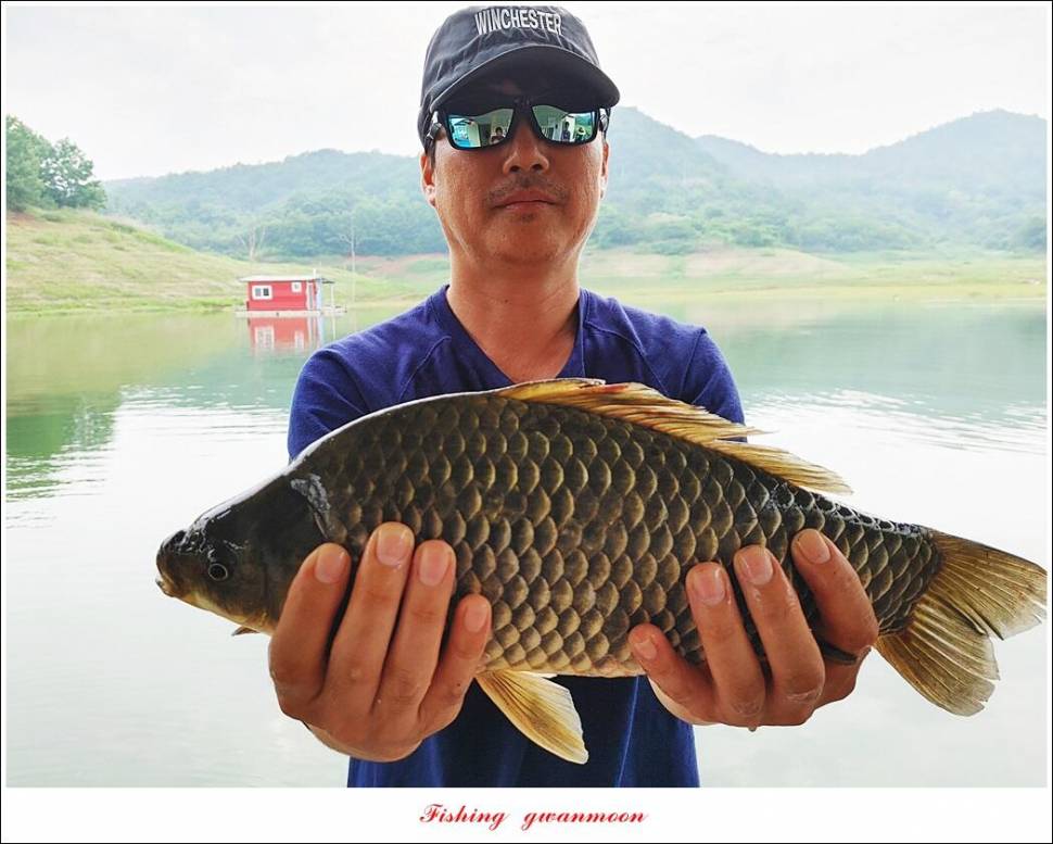 명서 노지 4 짜 마릿수돌감 4 짜사오리 4 짜솔 4 짜 대물 조황 (조황조행기 - 특파원조황)