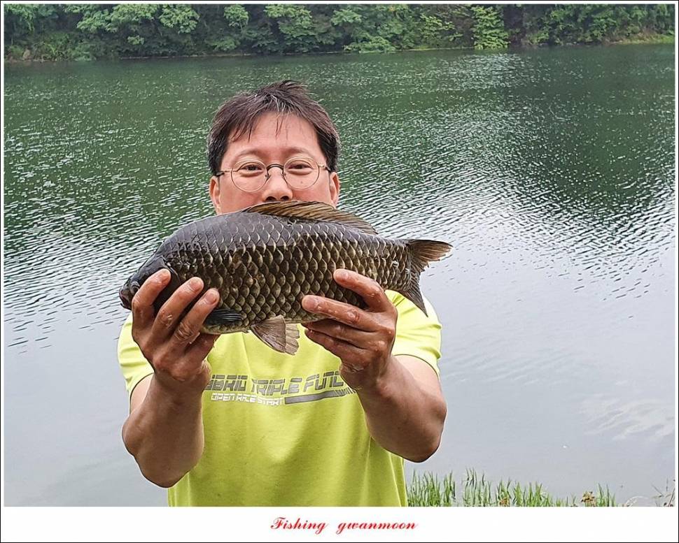 제일 43 cm40 cm화곡지 4 짜 조황 (조황조행기 - 특파원조황)
