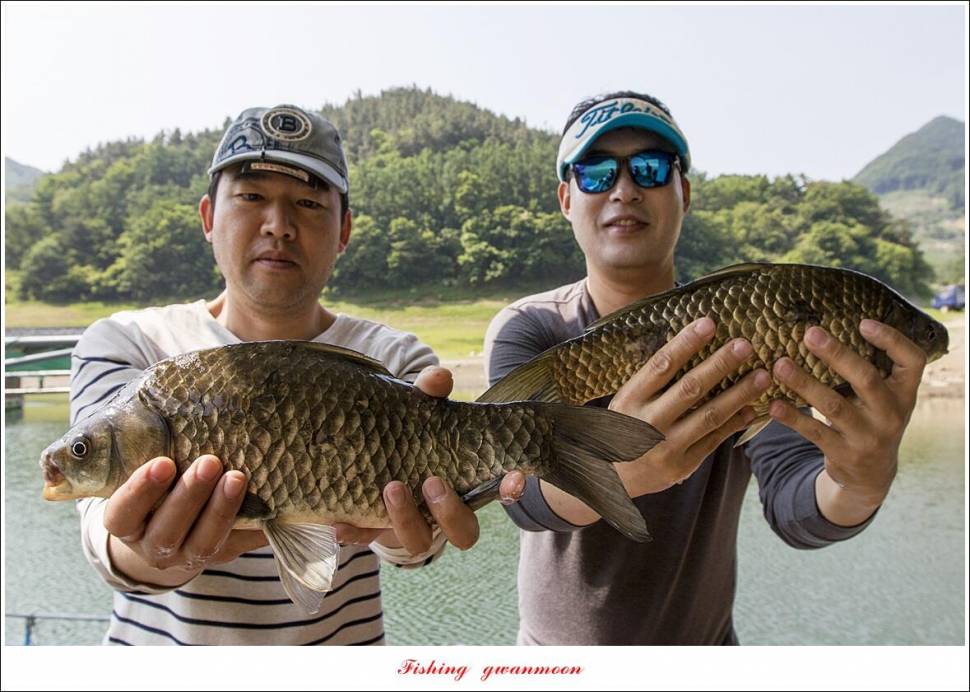 목벌 42 cm41 cm35 cm대물 조황 (조황조행기 - 특파원조황)