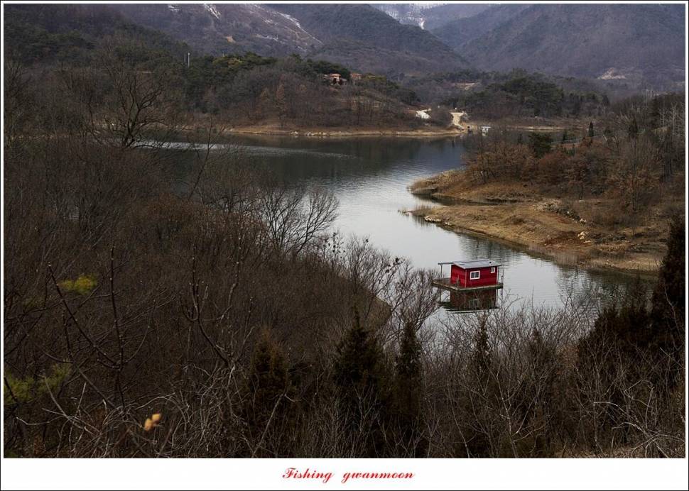 솔 385 cm 외 돌감 월척 조황 (조황조행기 - 특파원조황)