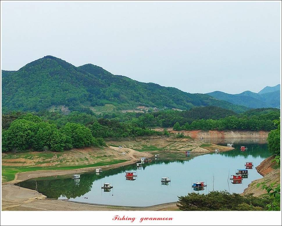 돌감 4 짜화곡지 4 짜 마릿수 조황 (조황조행기 - 특파원조황)