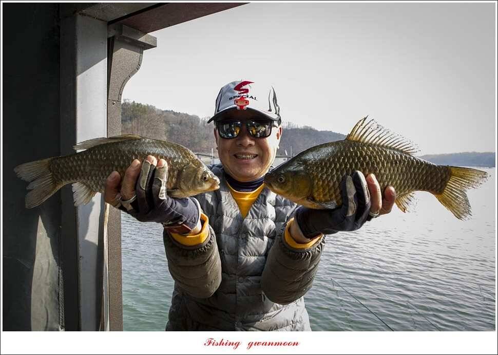제일 낚시터 36 cm31 cm 월척칠성지 허리급 월척 조황 (조황조행기 - 특파원조황)