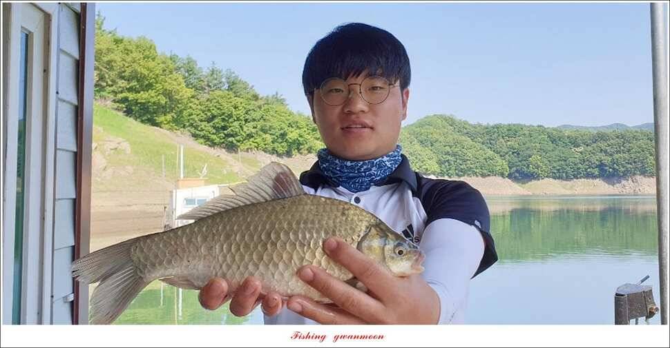 돌감 385 cm늘푸른 37cm35 cm월척 및 장어 조황 (조황조행기 - 특파원조황)