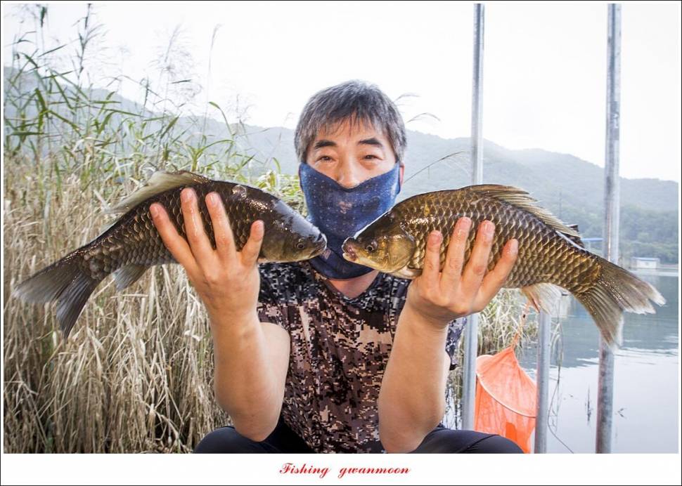 솔 43 cm종점 39 cm38 cm칠성지 4 짜 대물 조황 (조황조행기 - 특파원조황)