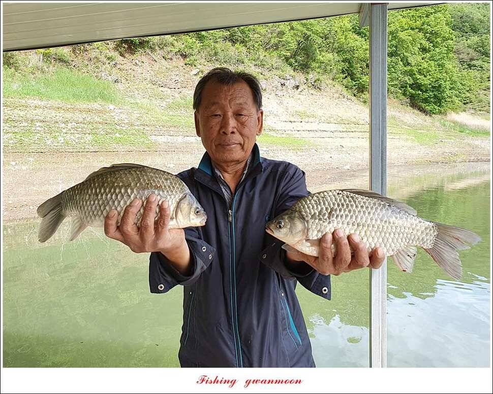 한버들 4 짜 2 수신리 4 짜실리곡 월척칠성지 4 짜 조황 (조황조행기 - 특파원조황)