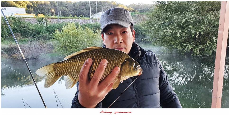솔 41 cm 화곡지 월척 조황 (조황조행기 - 특파원조황)