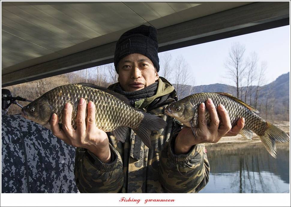 솔 385 cm 외 돌감 월척 조황 (조황조행기 - 특파원조황)