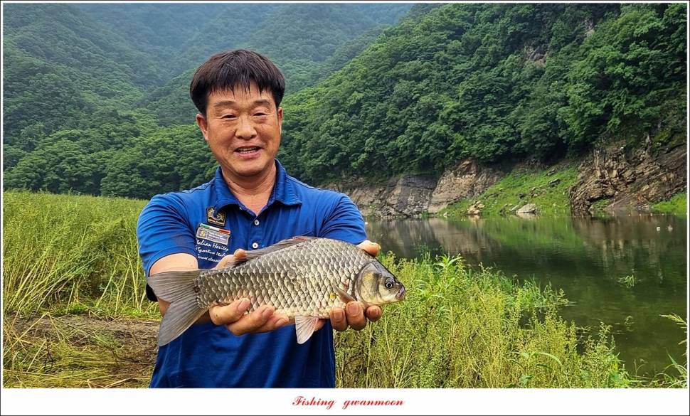 충주호 2 차 오름수위명서목벌화곡지 조황 (조황조행기 - 특파원조황)