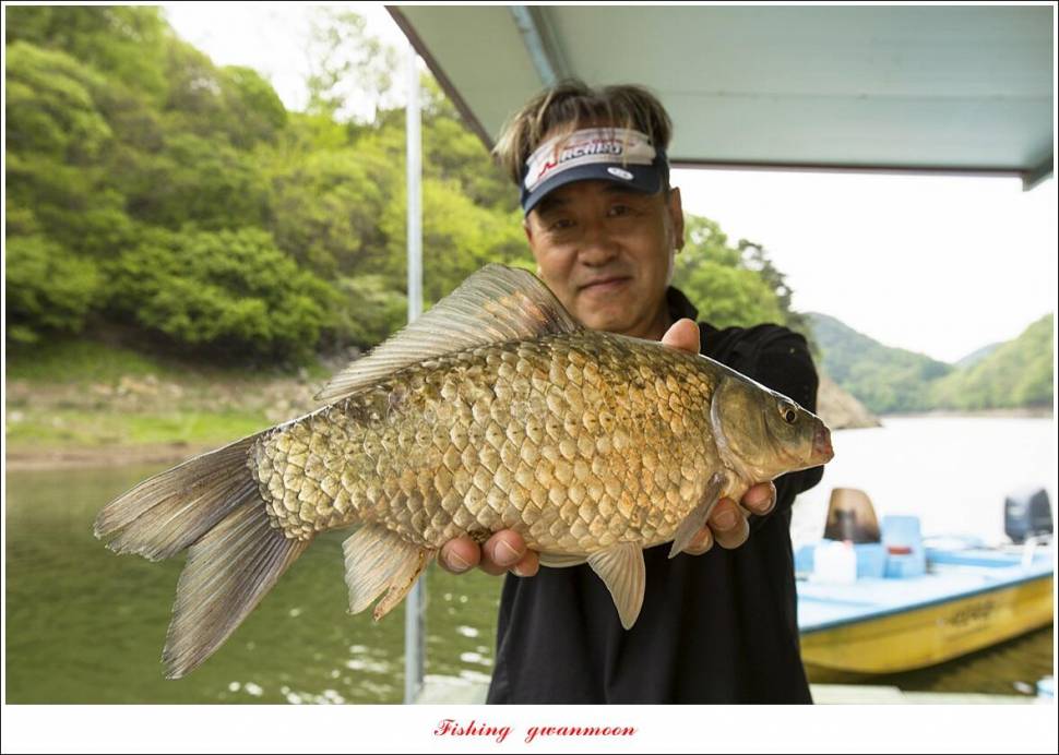 사오리 4 짜한버들 4 짜봉낚시터 조황 (조황조행기 - 특파원조황)