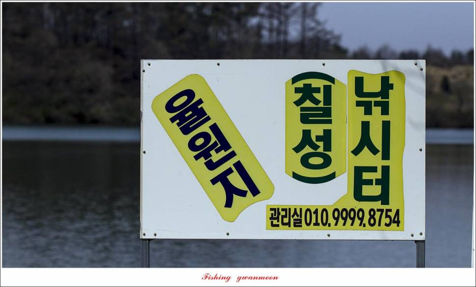 칠성지 4 짜 및 솔 낚시터 월척 조황 (조황조행기 - 특파원조황)