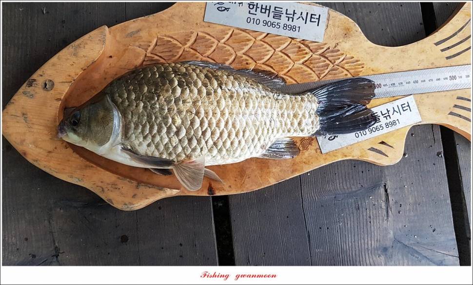 한버들 4 짜 2 수신리 4 짜명서 4 짜 및 충주호 노지 현황 (조황조행기 - 특파원조황)