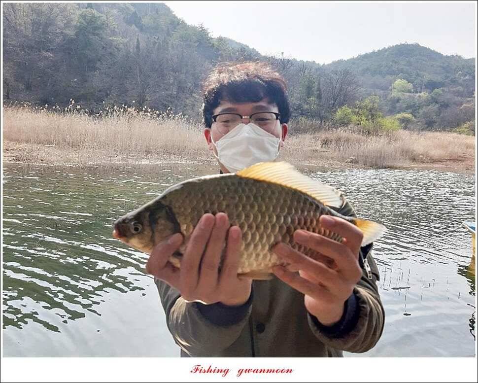 제일 마릿수 월척 및 돌감 허리급 월척솔낚시터 현황 (조황조행기 - 특파원조황)