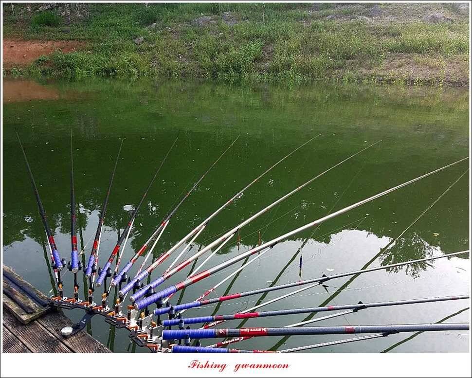 돌감 4 짜제일 39 cm38 cm37 cm칠성지 월척 조황 (조황조행기 - 특파원조황)
