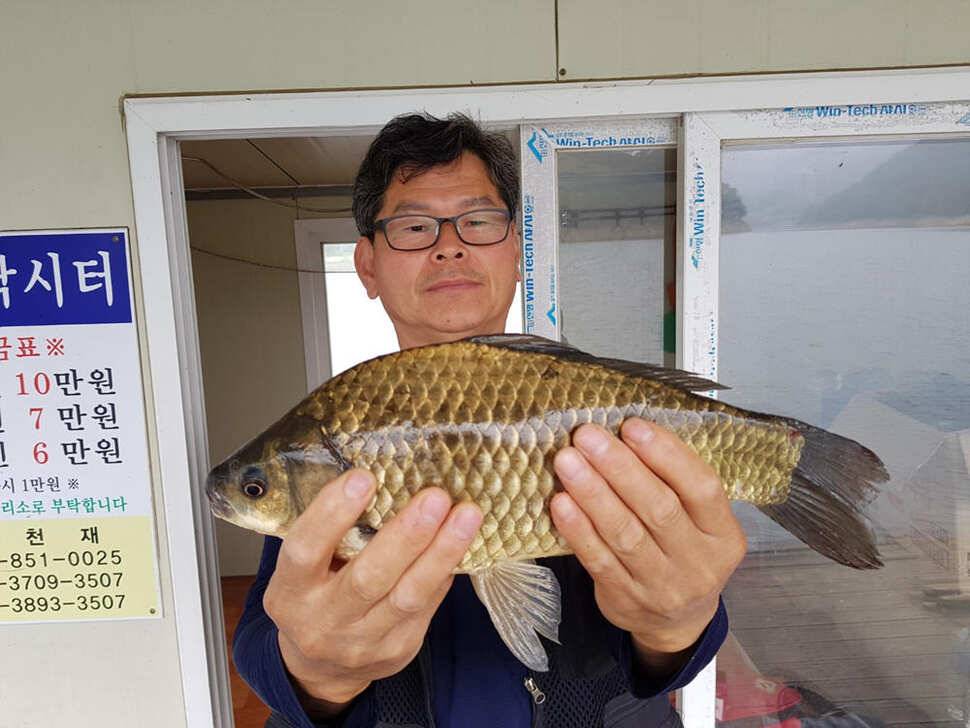 하천낚시터 41cm 대물붕어 소식 (조황조행기 - 특파원조황)